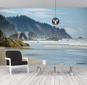 Picture of View of wild beach in Oregon